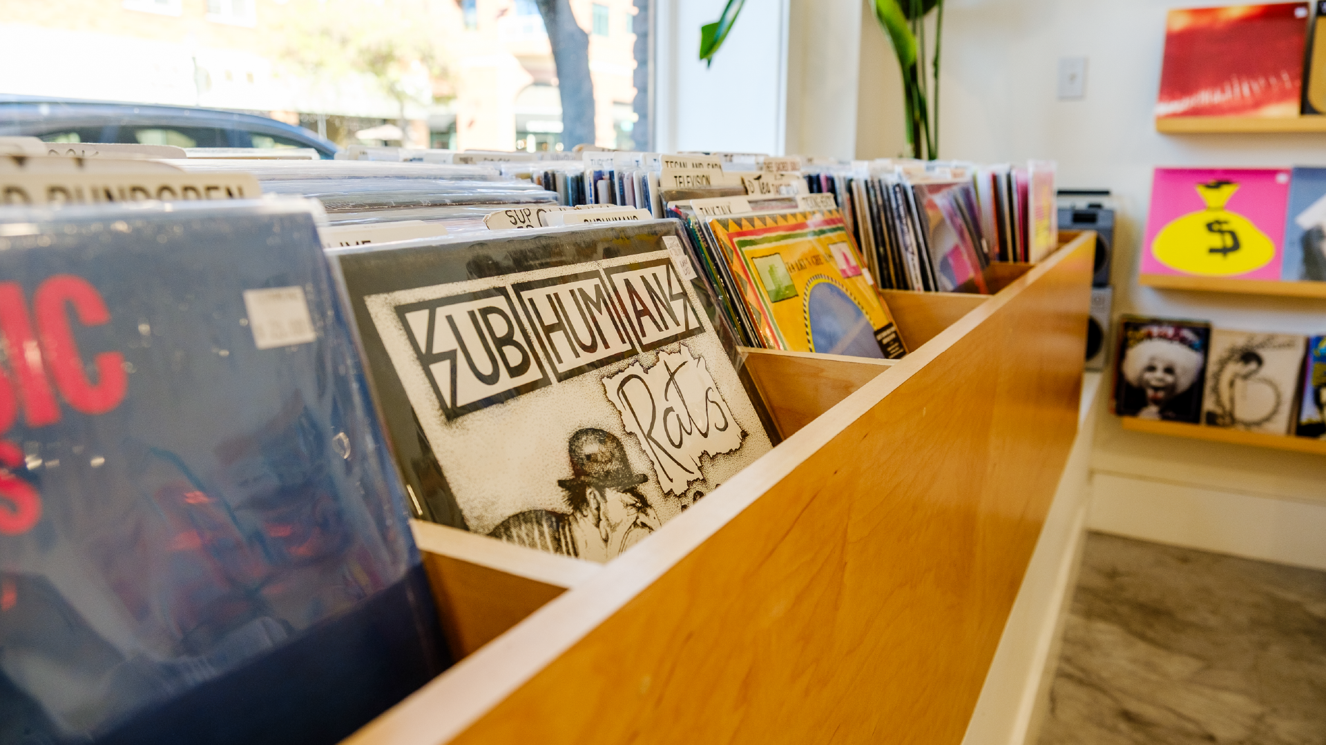 Commune Records – wooden bins filled with vinyl records inside the record shop.